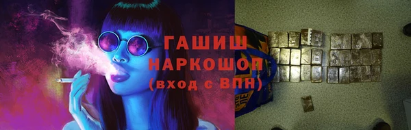 индика Елизово