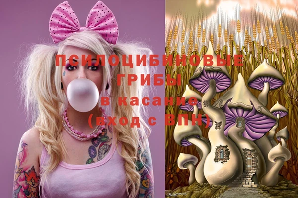 молекула духа Алзамай