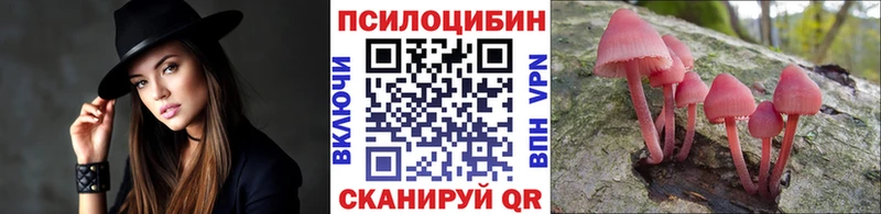 Галлюциногенные грибы мицелий  мега зеркало  Евпатория 